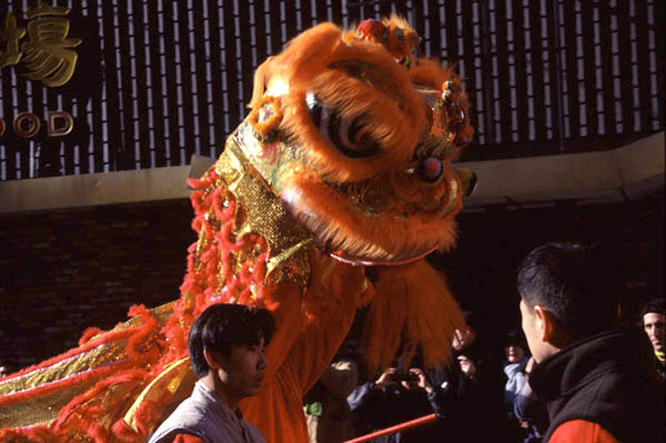 Lion Dancer at Chinese New Year Celebration.  Photography by Lian Jue., Ethnic Festival, 2001; Chinese New Year Celebration; Chinatown, Boston, Massachusetts;