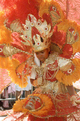 Deborah Joseph, Individual, Trinidad & Tobago Social Club, Boston Caribbean Carnival; Caribbean carnival costume; 2003: 